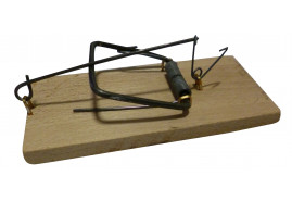mouse trap wooden standard