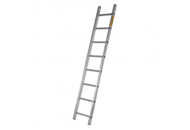 ladder one-piece 10 rungs